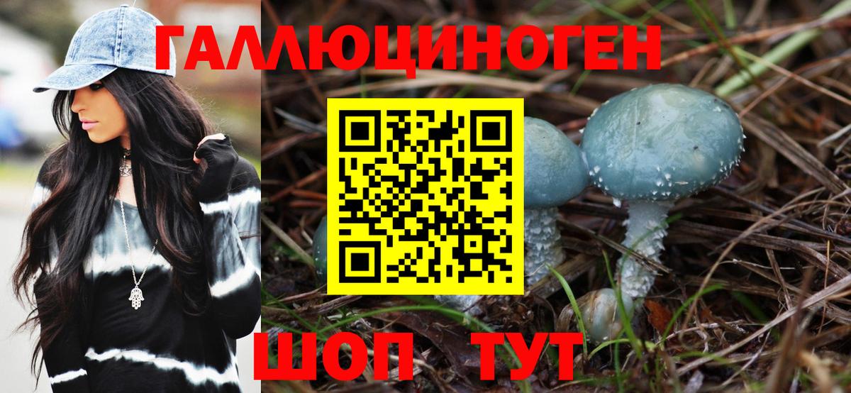 Королёв  Галлюциногенные грибы Psilocybe  Вход с VPN 